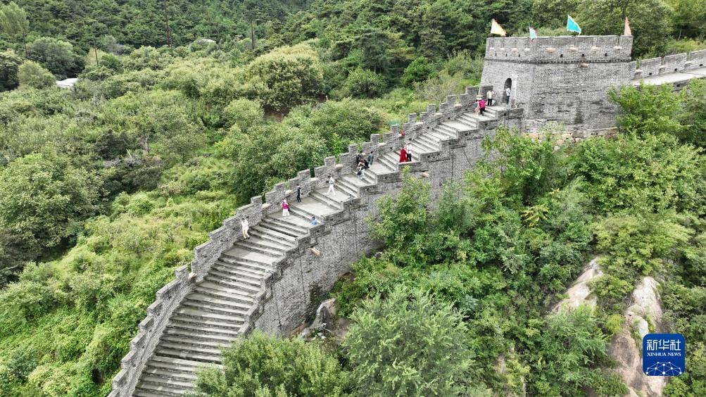 88集团